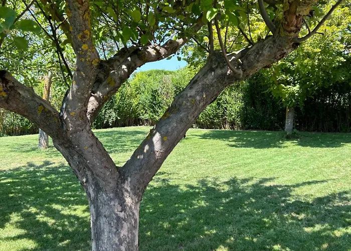 펜션 Casa La Rosada Garray